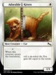 Adorable kitten'.jpeg