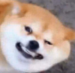 1589566879334.png