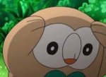 rowlet.jpg