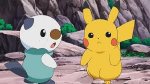 oshawott.jpg