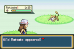 shinyrattata1.png